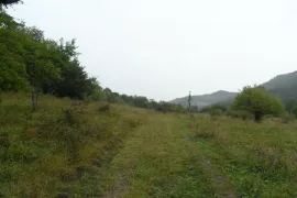 Land For Sale, Agricultural, Gombori