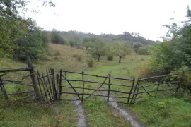 Land For Sale, Agricultural, Gombori