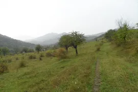 Land For Sale, Agricultural, Gombori