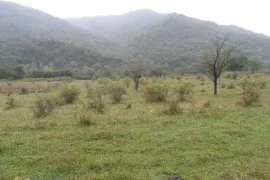 Land For Sale, Agricultural, Gombori