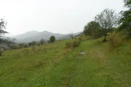 Land For Sale, Agricultural, Gombori