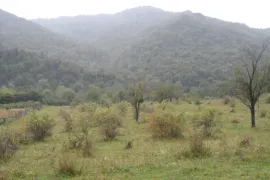 Land For Sale, Agricultural, Gombori