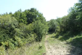 Land For Sale, Agricultural