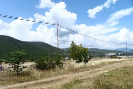 იყიდება მიწის ნაკვეთი, სასოფლო - სამეურნეო, არაგვისპირი
