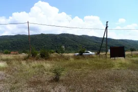 იყიდება მიწის ნაკვეთი, სასოფლო - სამეურნეო, არაგვისპირი
