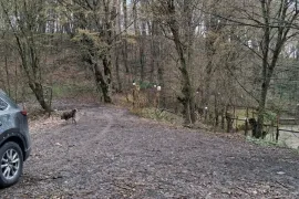 იყიდება მიწის ნაკვეთი, სასოფლო - სამეურნეო