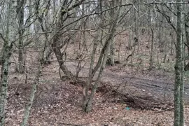 იყიდება მიწის ნაკვეთი, სასოფლო - სამეურნეო