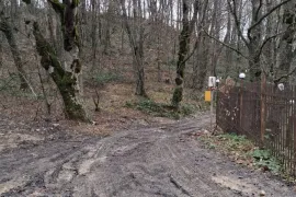 იყიდება მიწის ნაკვეთი, სასოფლო - სამეურნეო