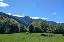 იყიდება მიწის ნაკვეთი, სასოფლო - სამეურნეო, ტბა 