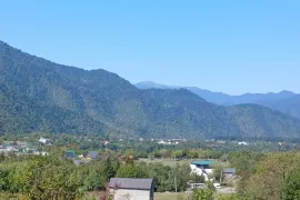 იყიდება მიწის ნაკვეთი, სასოფლო - სამეურნეო, ტბა 