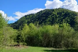იყიდება მიწის ნაკვეთი, სასოფლო - სამეურნეო, ტბა 