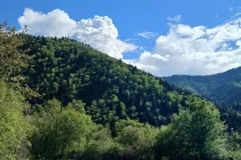 იყიდება მიწის ნაკვეთი, სასოფლო - სამეურნეო, ტბა 