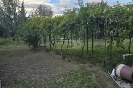 House For Sale, 7 Room, Suburbs of Tbilisi, Shindisi
