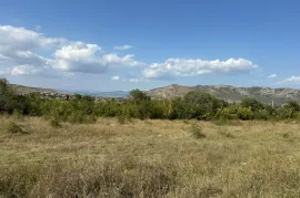 იყიდება მიწის ნაკვეთი, სასოფლო - სამეურნეო, ნიჩბისი