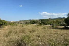 იყიდება მიწის ნაკვეთი, სასოფლო - სამეურნეო, ნიჩბისი