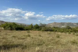 იყიდება მიწის ნაკვეთი, სასოფლო - სამეურნეო, ნიჩბისი