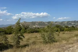 იყიდება მიწის ნაკვეთი, სასოფლო - სამეურნეო, ნიჩბისი