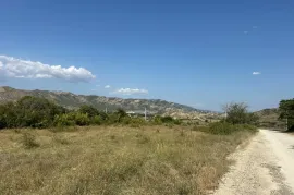 იყიდება მიწის ნაკვეთი, სასოფლო - სამეურნეო, ნიჩბისი