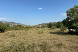 იყიდება მიწის ნაკვეთი, სასოფლო - სამეურნეო, ნიჩბისი