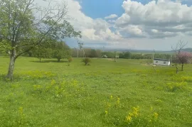 Land For Sale, Agricultural, Kvemo Teleti
