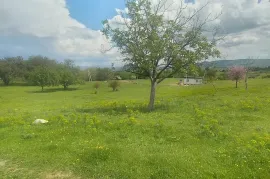 Land For Sale, Agricultural, Kvemo Teleti