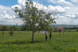 Land For Sale, Agricultural, Kvemo Teleti