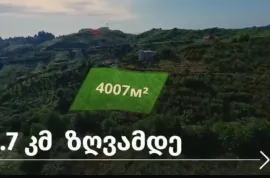 Land For Sale, Agricultural, Chaqvi