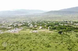 იყიდება მიწის ნაკვეთი, სასოფლო - სამეურნეო, ნავდარაანთკარი