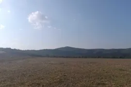 იყიდება მიწის ნაკვეთი, სასოფლო - სამეურნეო, ჭოეთი