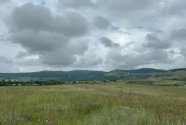 იყიდება მიწის ნაკვეთი, სასოფლო - სამეურნეო, კობიაანთკარი