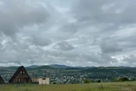 იყიდება მიწის ნაკვეთი, სასოფლო - სამეურნეო, კობიაანთკარი