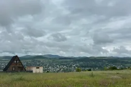 იყიდება მიწის ნაკვეთი, სასოფლო - სამეურნეო, კობიაანთკარი