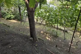 Продается Земля, Сельскохозяйственные, Поничала