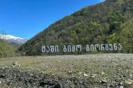Land For Sale, Agricultural, Likheti