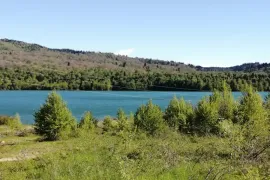 იყიდება მიწის ნაკვეთი, სასოფლო - სამეურნეო, ჭელიაღელე