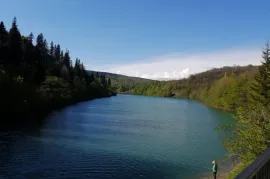 იყიდება მიწის ნაკვეთი, სასოფლო - სამეურნეო, ჭელიაღელე