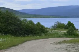 იყიდება მიწის ნაკვეთი, სასოფლო - სამეურნეო, ჭელიაღელე