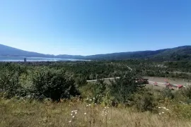 იყიდება მიწის ნაკვეთი, სასოფლო - სამეურნეო, ჭელიაღელე