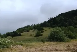იყიდება მიწის ნაკვეთი