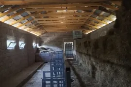 იყიდება მიწის ნაკვეთი