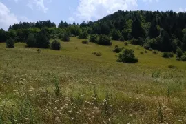 იყიდება მიწის ნაკვეთი