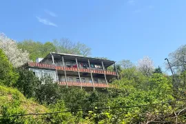 იყიდება სახლი, 10 ოთახიანი, ხელვაჩაური, სამება
