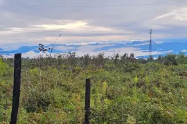 Land For Sale, Agricultural