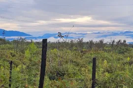 Land For Sale, Agricultural