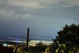 იყიდება მიწის ნაკვეთი, სასოფლო - სამეურნეო, წავკისი