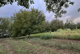 იყიდება მიწის ნაკვეთი, სასოფლო - სამეურნეო, წავკისი