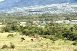 Land For Sale, Non Agricultural, Misaqtsieli