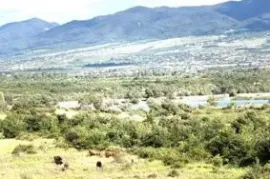Land For Sale, Non Agricultural, Misaqtsieli
