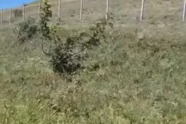 Land For Sale, Non Agricultural, Lisi lake
