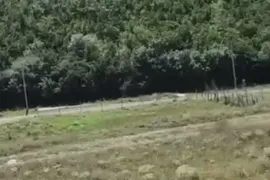 Land For Sale, Non Agricultural, Lisi lake